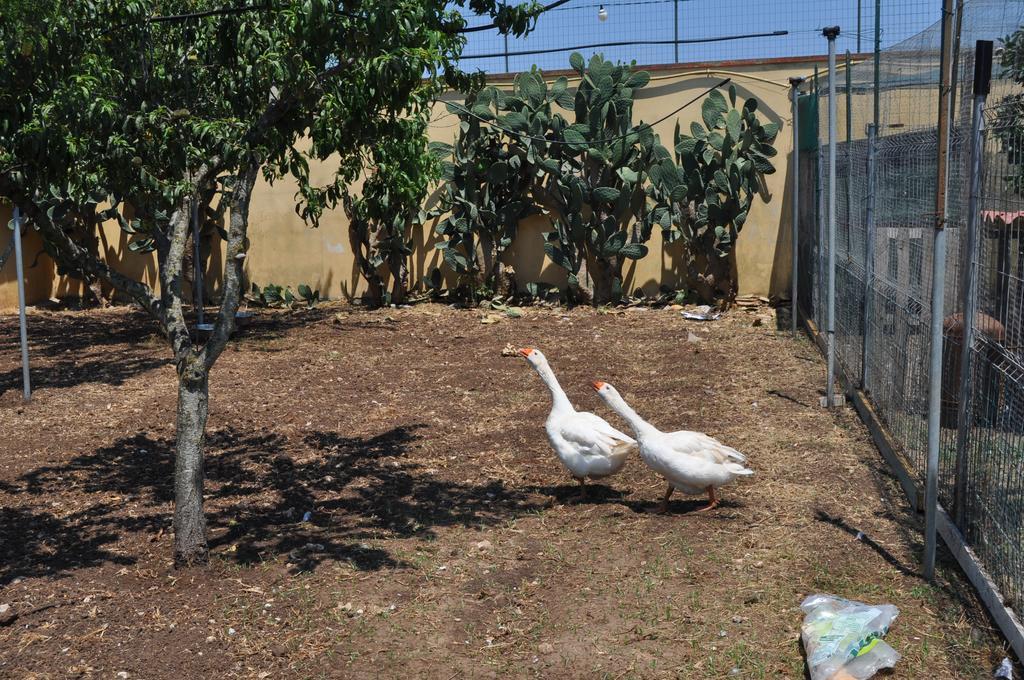 ليتشي Bed & Breakfast Giardini Di Marzo المظهر الخارجي الصورة
