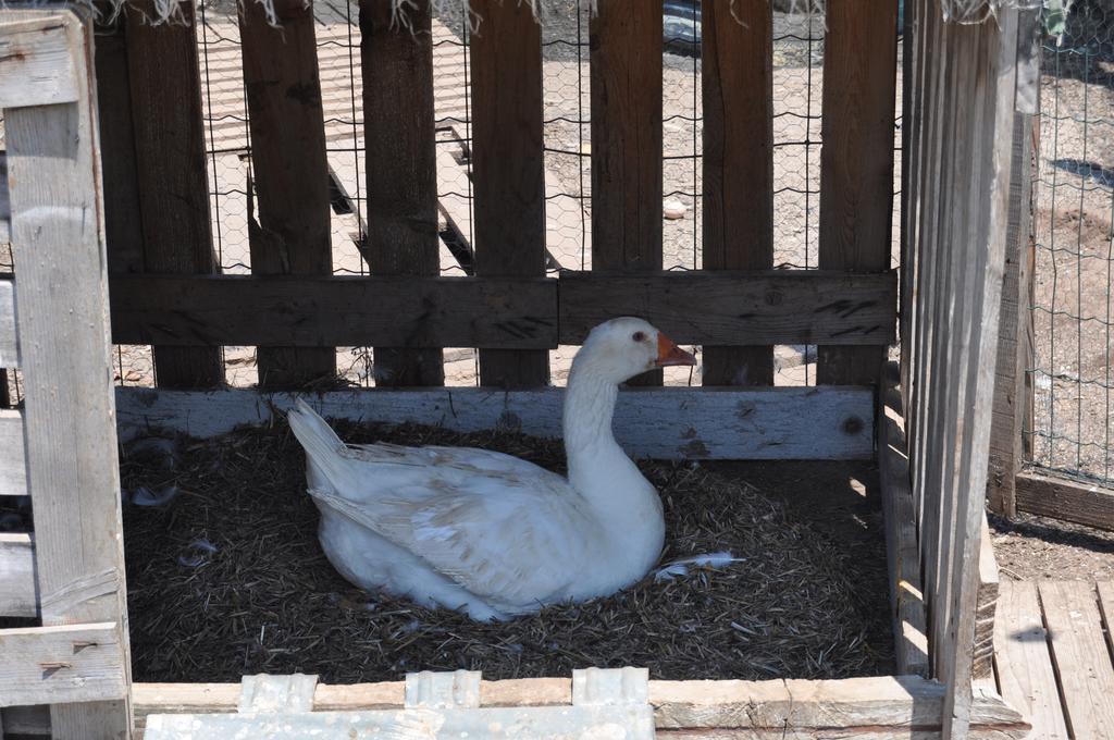 ليتشي Bed & Breakfast Giardini Di Marzo المظهر الخارجي الصورة